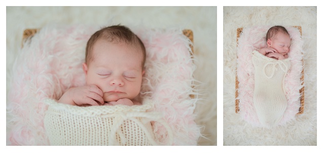 Newborn Photography Colorado 